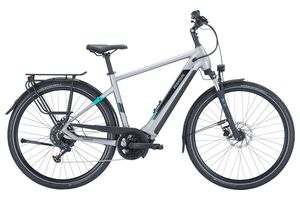 Pegasus Evo CX Herren grau 750 Wh