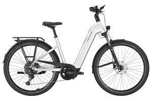 Pegasus Premio Evo 10 lite - Wave - silber - 800 Wh