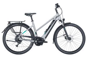 Pegasus Evo CX Trapez grau 750 Wh